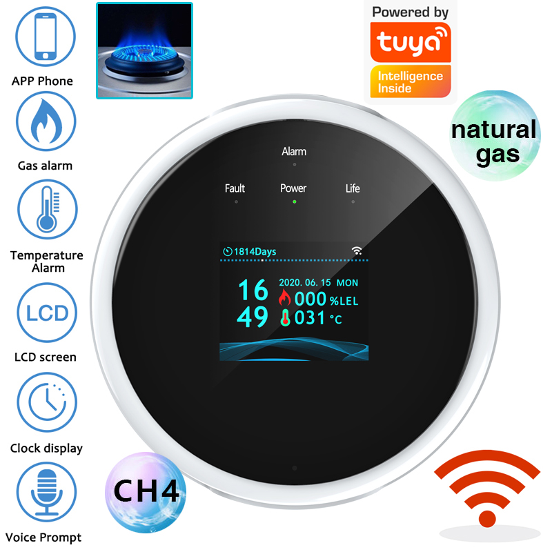 Smart Home Web - 2.4G WiFi Gasalarmsensor Brandbaar gasdetector Werkt
