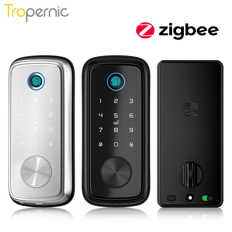 Smart Home Gateway - Tuya Zigbee Deur Nachtschoot Sloten Biometrische