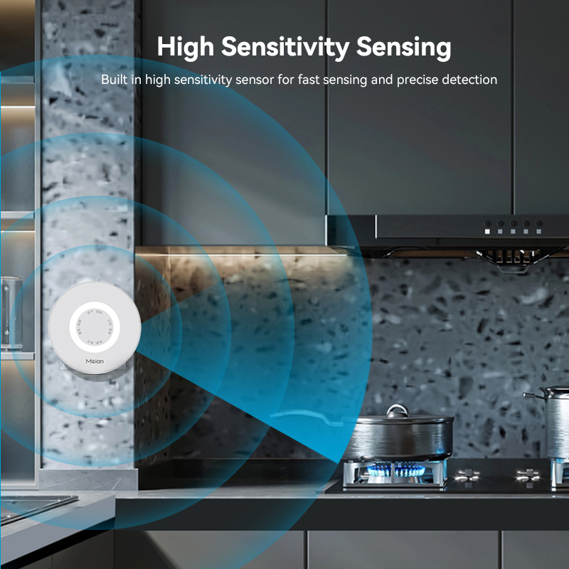 Mian Zigbee Gasdetector Tuya W - Smart Home Web recensie en prijs