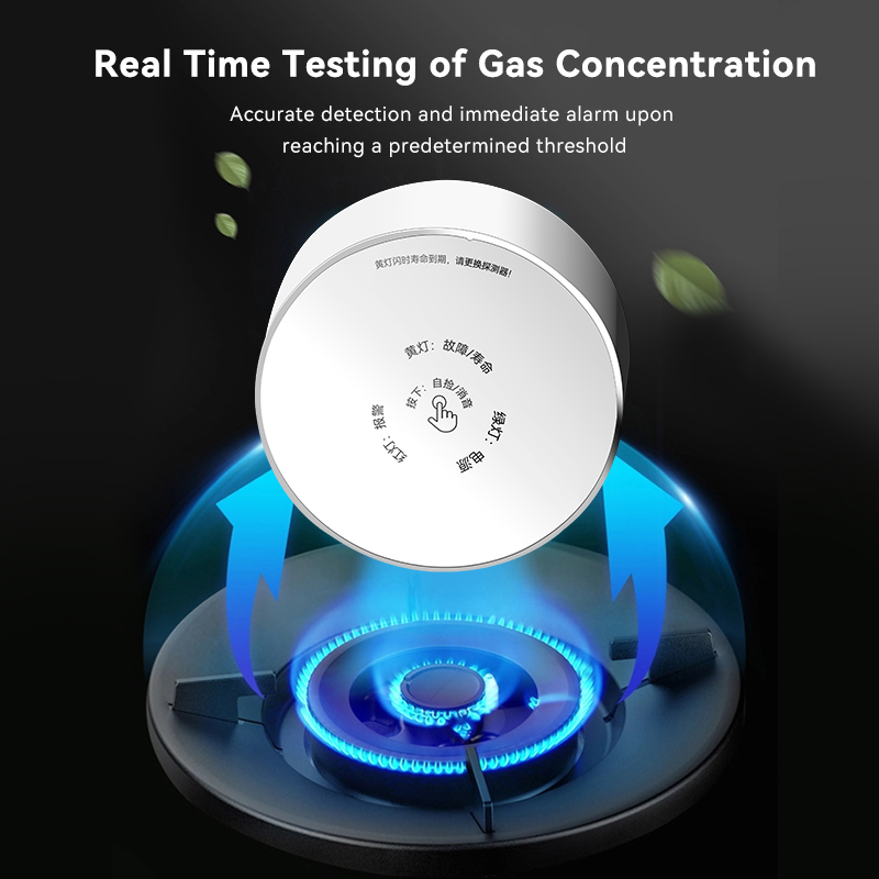 Mian Zigbee Gasdetector Tuya W - Smart Home Web recensie en prijs