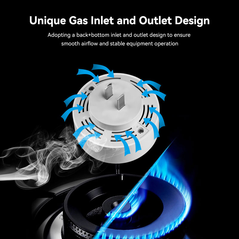 Mian Zigbee Gasdetector Tuya W - Smart Home Web recensie en prijs
