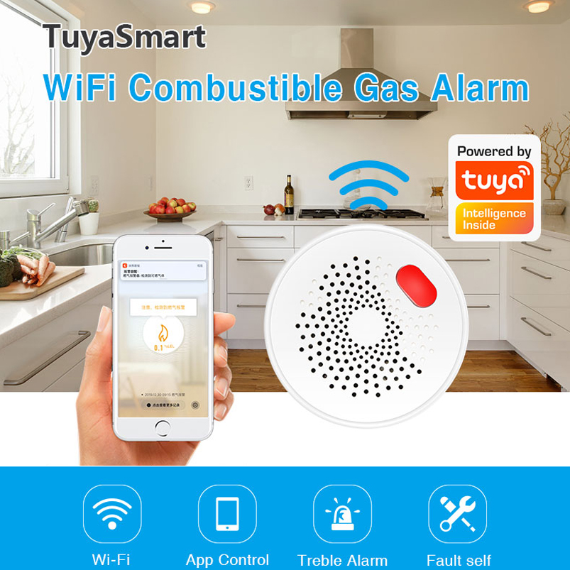 EU/US/UK Tuya Smart Home 2.4G  - Smart Home Web recensie en prijs