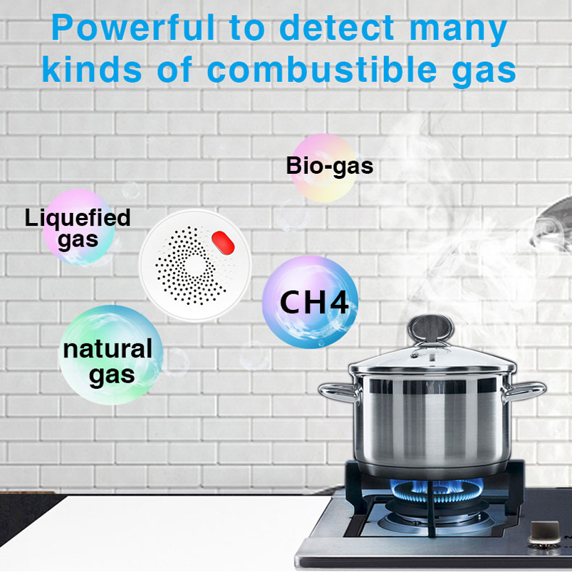 EU/US/UK Tuya Smart Home 2.4G  - Smart Home Web recensie en prijs