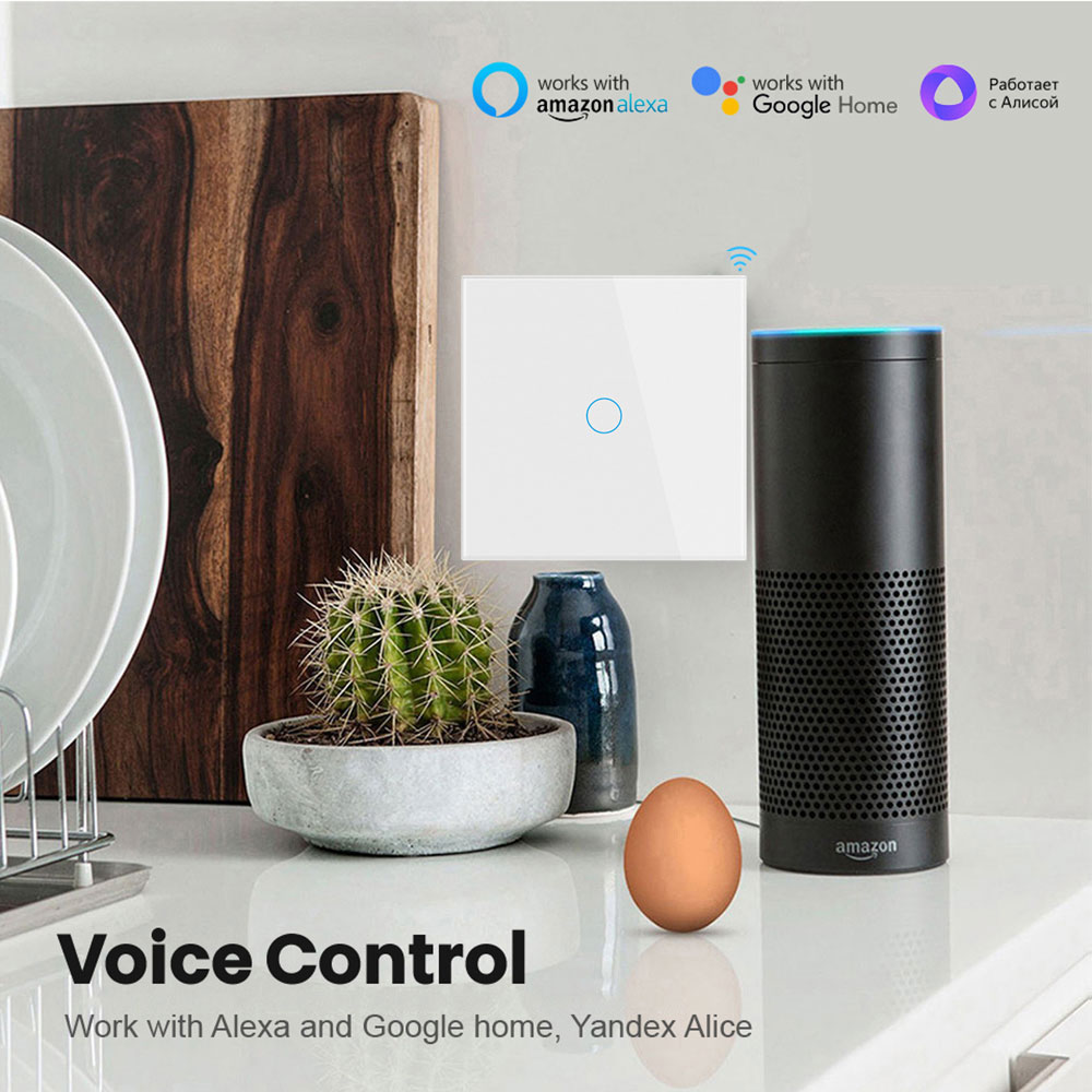 Tuya EU WiFi + RF433 Slimme af - Tuya Smart Switch recensie en prijs