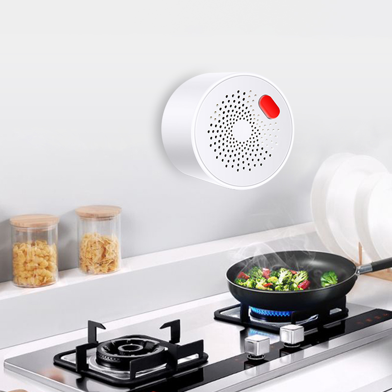 Tuya Smart Home Wifi Aardgas S - Smart Home Web recensie en prijs