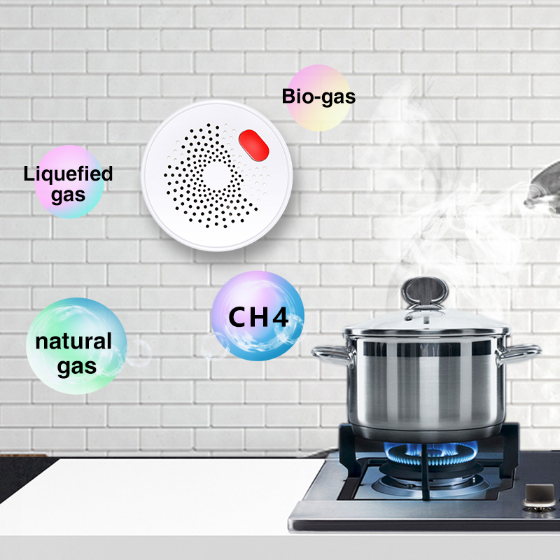 Tuya Smart Home Wifi Aardgas S - Smart Home Web recensie en prijs