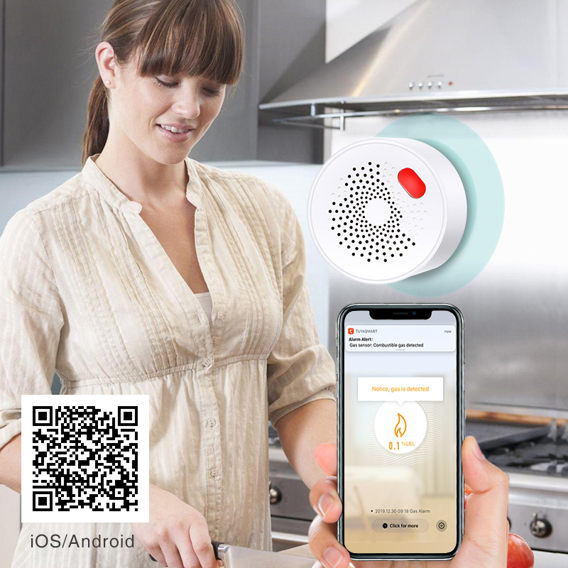 Tuya Smart Home Wifi Aardgas S - Smart Home Web recensie en prijs
